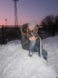 Изображение 320