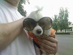 гламур=) у Иранца на руках...=)