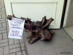 "Убитая" дубина из комиссионки