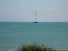 SAM_0280