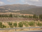 SAM_0131