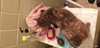 20190420_000611