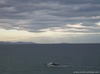 на море шторм