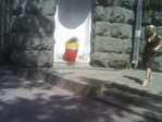 DSC00169