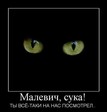Малевич