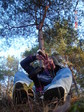 ku piva