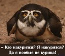 fp7_01-49