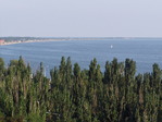 P1010004