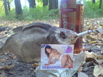 Вот всё что вам нужно=)