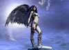 Pic_168_small