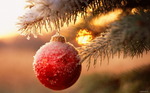 new_year61