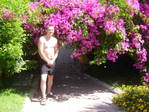 DSC00540