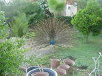DSC00677