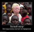 635365_belyij-negr