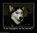 47997_a-ne-pidarok-li-tyi-chasom_thumbnail