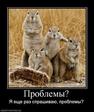 99442_problemyi_thumbnail