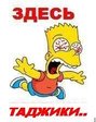 Здесь