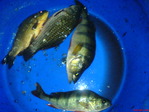 DSC01045