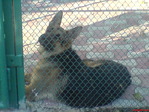 DSC01119