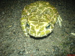 DSC01040