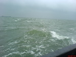 DSC00962
