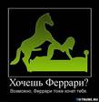 1260368189_demotivatory-(www_votrube_ru)3