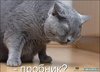 18370965-probnik