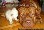 469432.Anabel