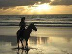 Horsewalk43