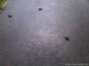IMG00050-20100722-1557