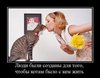 1337242688_demotivatory-4