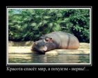танки бывают разные...