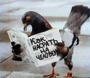 пособие для хамов