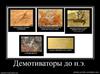 448779_demotivatoryi-do-ne
