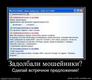 212685_zadolbali-moshejniki