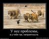 351093_u-nee-problemyi
