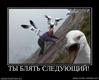 822832_tyi-blyat-sleduyuschij