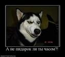 47997_a-ne-pidarok-li-tyi-chasom