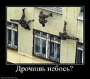 234598_drochish-nebos