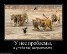 351093_u-nee-problemyi
