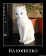 x_d41e33f3