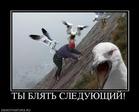822832_tyi-blyat-sleduyuschij