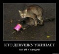 x_3950157d