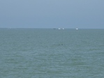 Какула
