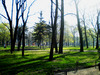 Парк Фанк-Петербург*