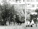 Поколение.Не забывай свои корни.