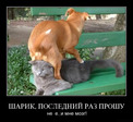demotivatory_67