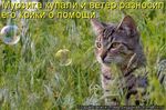 kotomatrix_12