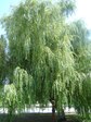DSC02101