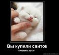 egHqDPsSLUY9KOKEXOVBuQlTsRq2rdgXI5bd5lgycQYw